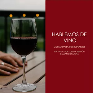 Imagen de portada para Curso online ¡Hablemos de Vino! Curso para principiantes