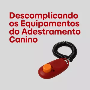 Imagem de capa para o Curso online Descomplicando os Equipamentos do Adestramento Canino