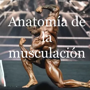 Imagen de portada para Ebook Anatomía de la Musculación 