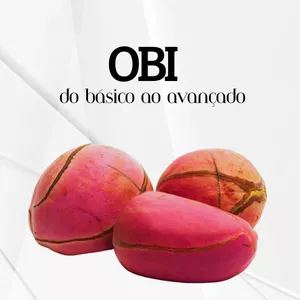 Imagem de capa para o Curso online OBI O ORÁCULO SAGRADO 