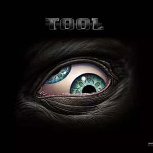 Imagen de portada para Ebook TOOL BAND