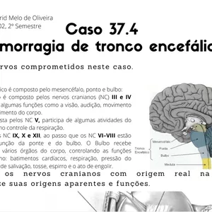 Imagem de capa para o Ebook Caso 37.4 Hemorragia do tronco encefálico