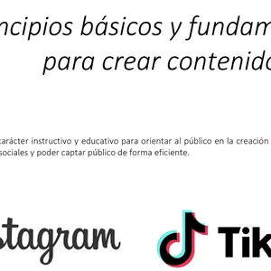 Imagen de portada para Ebook Principios básicos y fundamentales para crear contenido virtual