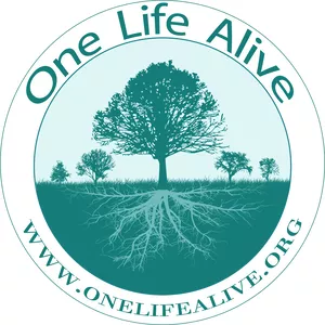 Imagem de capa para o Curso online One Life Alive