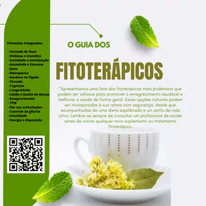 Imagem de capa para o Ebook GUIA DE SUPLEMENTOS MANIPULADOS 