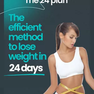 Cover image for Ebook The Plan 24