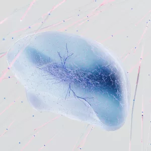 Image de couverture pour le Cours en ligne Revelando o Poder da Mente