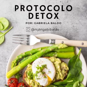 Imagem de capa para o Ebook Protocolo detox por: gabriela baldo