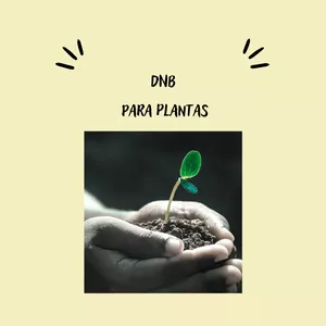 Imagem de capa para o Curso online DNB para planta