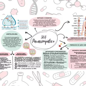 Imagem de capa para o Ebook Mapa mental SNA parassimpático