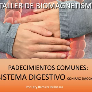Imagen de portada para Curso online Biomagnetismo / Sistema digestivo con raíz emocional