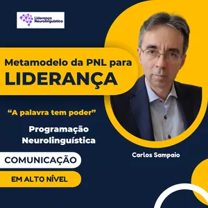Imagem de capa para o Curso online Metamodelo da PNL para Liderança