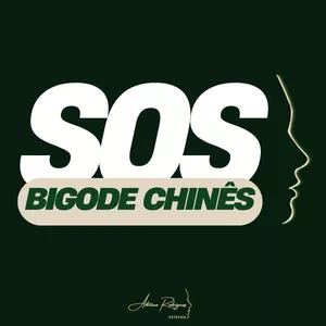 Imagem de capa para o Curso online SOS Bigode Chinês  