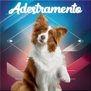 Imagem do curso Adestramento em Casa Fácil