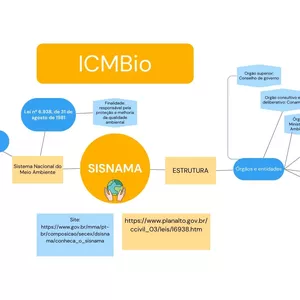 Imagem de capa para o Curso online Mapa Mental Sisnama ICMBIO