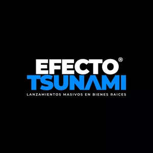 Imagen de portada para Curso online Curso Efecto Tsunami G1