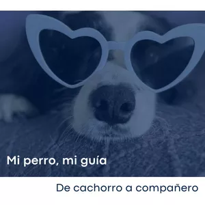 Imagen de portada para Curso online MI PERRO, MI GUIA