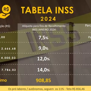 Imagem de capa para o Curso online Planilha de Cálculo do INSS 2024 - Simples, Precisa e Eficiente!