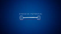 Xtensive Potential logo