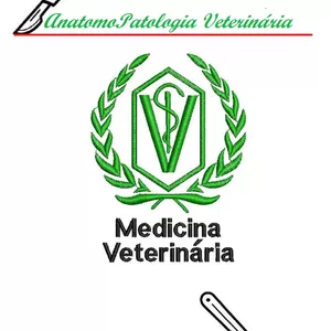 Curso Curso de Anatomopatologia Animal I