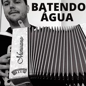 Imagem de capa para o Curso online Batendo Água | Luiz Marenco | Aula de Gaita Ponto