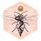 Elevation Hive School of Energy Medicine