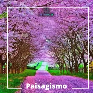 Imagem de capa para o Curso online Paisagismos Na.Pratika 