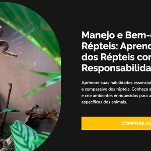 Imagem de capa para o Curso online Manejo e bem-estar de répteis sob cuidados humanos. 