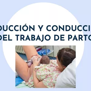 Imagen de portada para Ebook FÁRMACOS-PDF (Inhibidores Uterinos) Enfermeria-2024