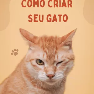 Imagem de capa para o Ebook Como Criar Seu Gato
