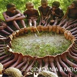 Imagem de capa para o Ebook Cidadania e Meio Ambiente no Trânsito