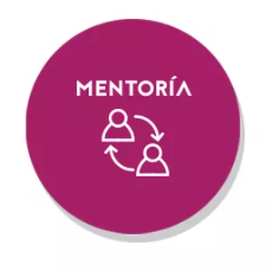 Imagen de portada para Curso online Mentoría estratégica para Dueños de Negocios