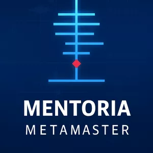 Cover image for Online course MetaMaster Mentorship