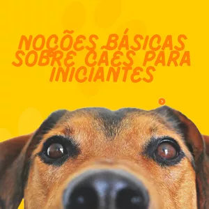 Imagem de capa para o Ebook Noções básicas sobre cães para iniciantes