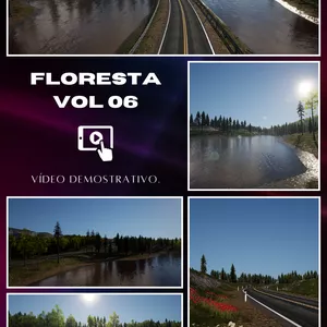 Imagem de capa para o Curso online FLORESTA VOL 06