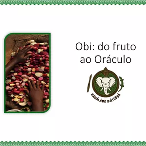 Imagem de capa para o Curso online Obi: do fruto ao Oráculo