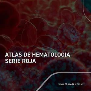 Imagen de portada para Ebook Atlas básico de hematología  - SERIE ROJA