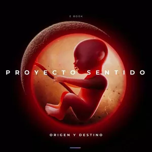 Imagen de portada para Ebook Proyecto Sentido [Origen y Destino]