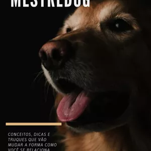 Imagem de 117 Regras do MestreDog - O guia definitivo para uma convivência perfeita criado por MestreDog Educação e Adestramento  na hotmart