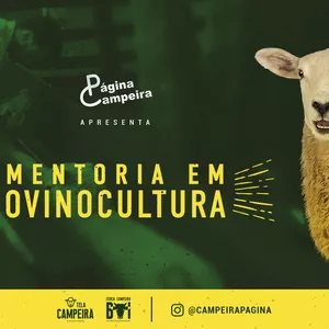 Imagem do curso Mentoria em Ovinos