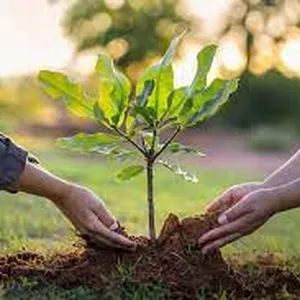 Imagen de portada para Curso online -Desarrollo Sostenible y Medio Ambiente