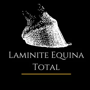 Imagem de capa para o Curso online Laminite Equina Total 