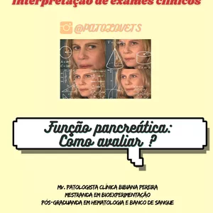 Imagem de capa para o Ebook Função Pancreática