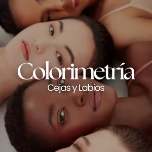 Imagen de portada para Ebook Colorimetría de cejas y labios
