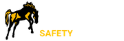 Maverick Knowledge Transfer