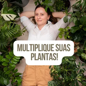 Imagem de capa para o Ebook Segredos da Propagação! Multiplicando Suas Plantas com Técnicas Infalíveis