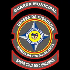Imagem de capa para o Curso online Direito Constitucional para Guarda Municipal de Santa Cruz do Capibaribe