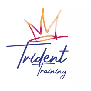 Imagem de capa para o Ebook Power Home Trident Training