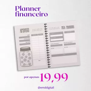 Imagem de capa para o Ebook Planner Financeiro: azul, rosa ou P e B