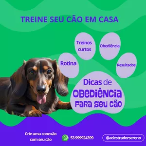 Imagem de capa para o Ebook Treine seu cão em casa. (com cronograma de treinos)
